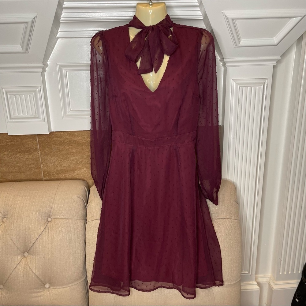 Modcloth Dress Women’s 6 Apogee of Elegance Long Sleeve Swiss Dot Dress Maroon